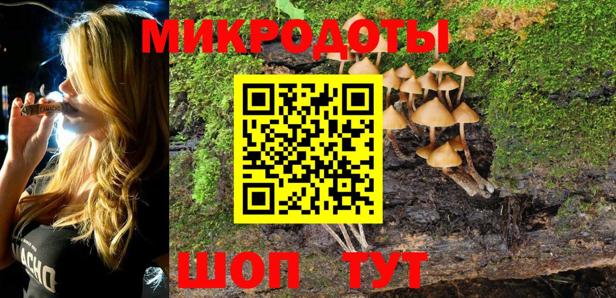 Галлюциногенные грибы GOLDEN TEACHER Фрязино