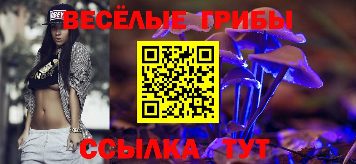 Псилоцибиновые грибы Magic Shrooms  Вход с VPN  Фрязино  Галлюциногенные грибы Psilocybe 